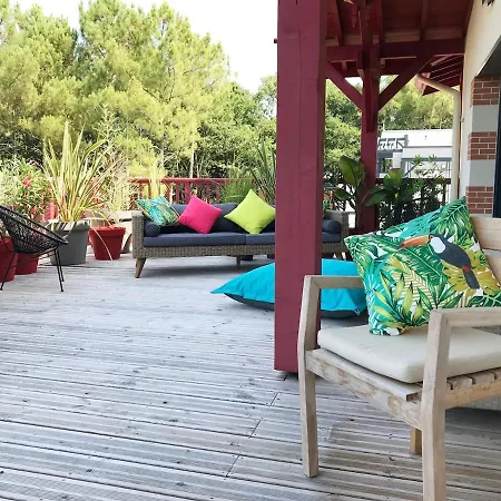 Apartment Couleurs Pyla T3 Grande Terrasse Piscine Commune